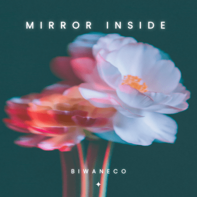 Mirror Inside