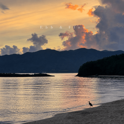 Ebb & Flow