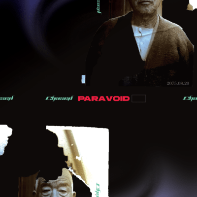 PARAVOID