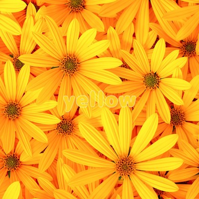 yellow