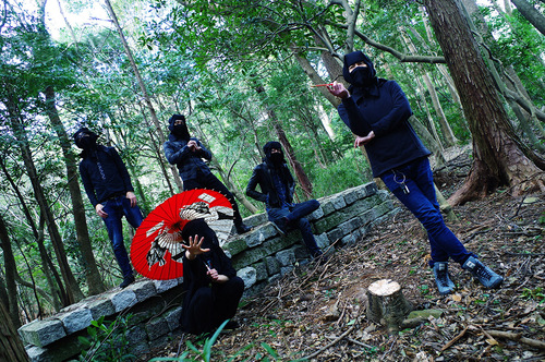 THE NINJA