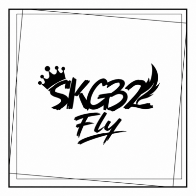 Fly
