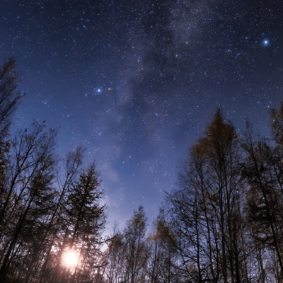 In the Middle of Fate