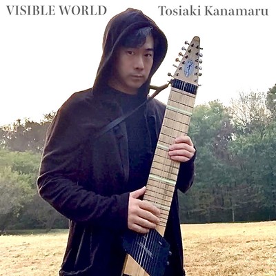 VISIBLE WORLD