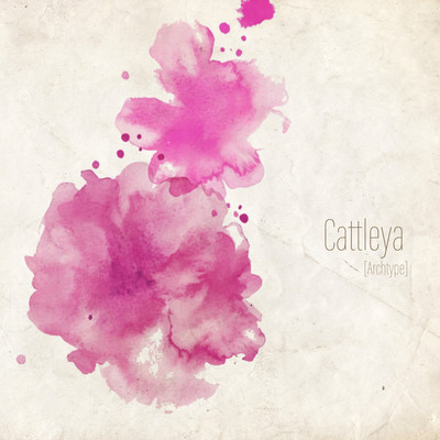 Cattleya (Archtype)