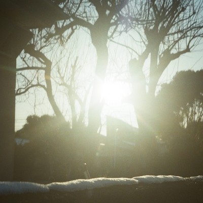 Thawing Light