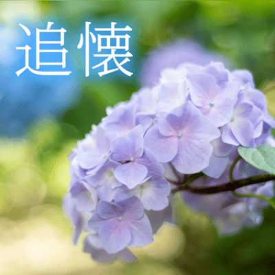 Reminiscence
