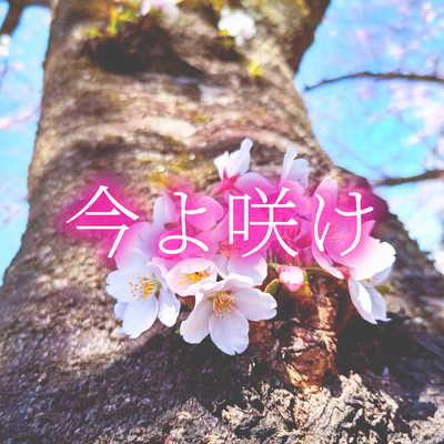 Bloom Now