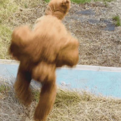 su-mu (-Don't Stop- Keiichi Sokabe Remix)