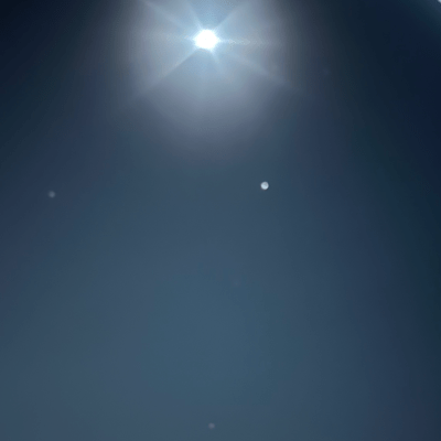 Keep the rain in your pocket. (Wind Tree)