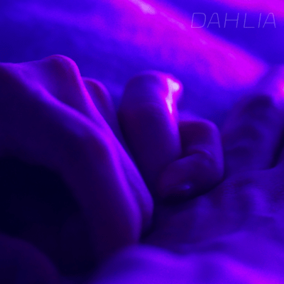 DAHLIA