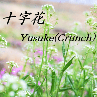 ZYUUZIKA