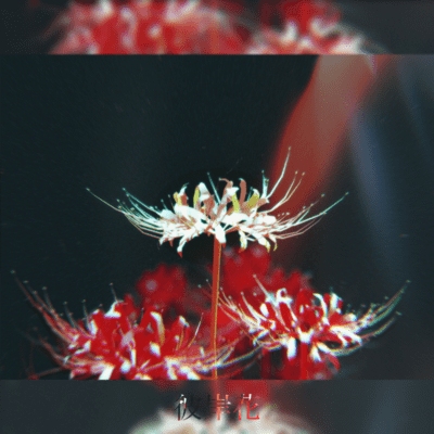 Spider lily (feat. synthsizer v Mai)