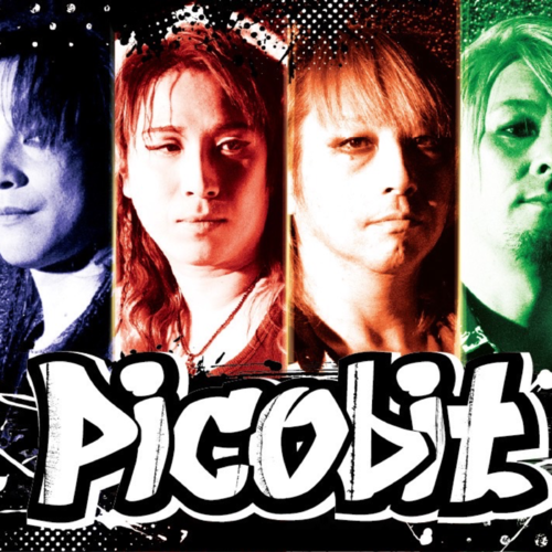 Picobit