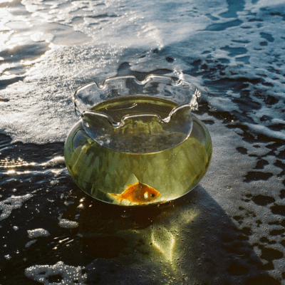 umigamieru-