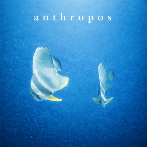 anthropos
