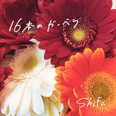 sixteen gerberas