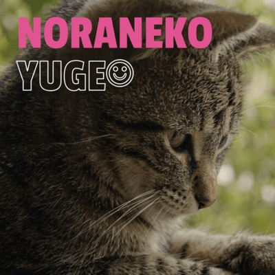 NORANEKO