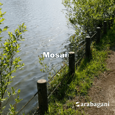 Mosaic