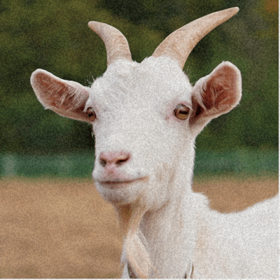 The White Goat