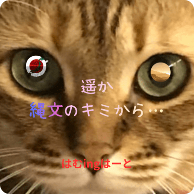 From Kimi of the distant Jomon period...