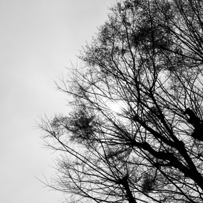 Break in the clouds (feat. HATSUNE MIKU)