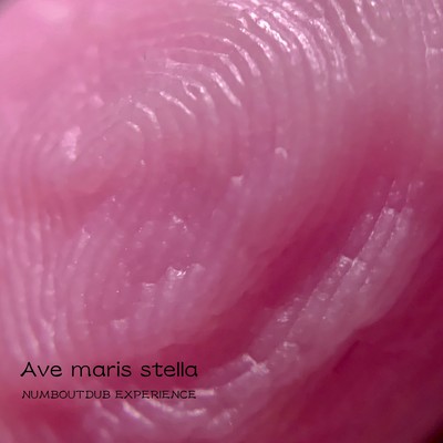 Ave maris stella