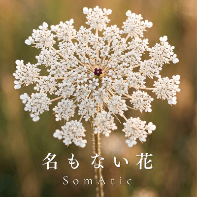 Nameless Flower