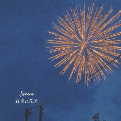 A Bouquet in the Night Sky
