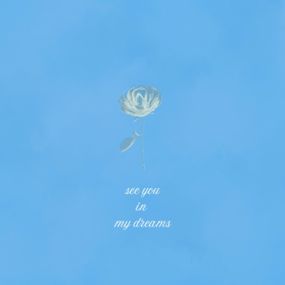 see you in my dreams