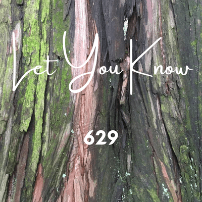 Let You Know