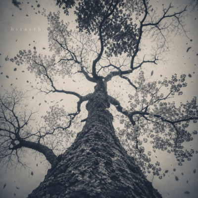 Hiraeth