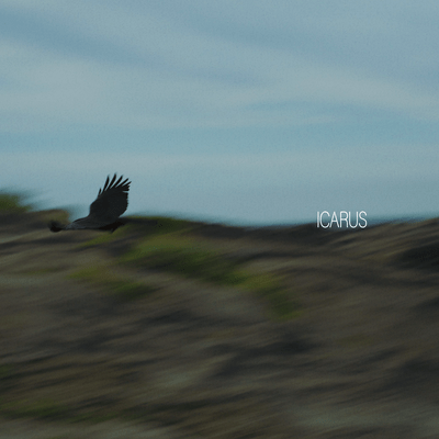 ICARUS