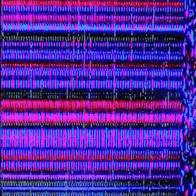 Shelter