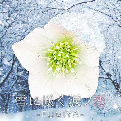 Snow in love tears