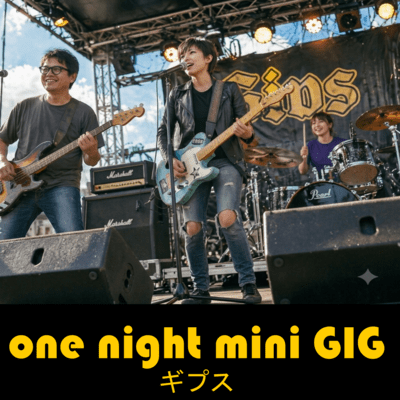 one night mini GIG