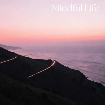 Mindful Life