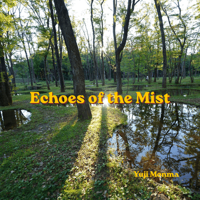 Echoes of the Mist