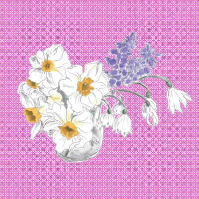 Narcissus