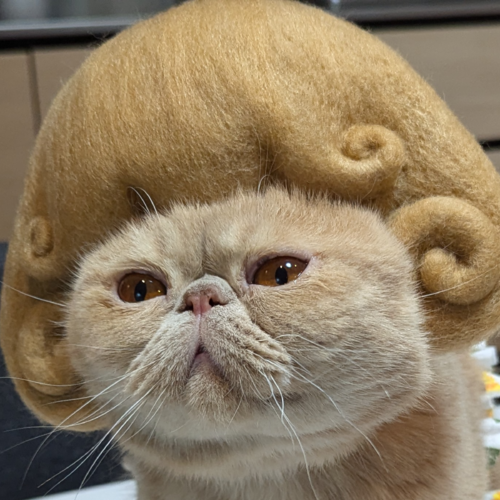 Ninchobi Channel