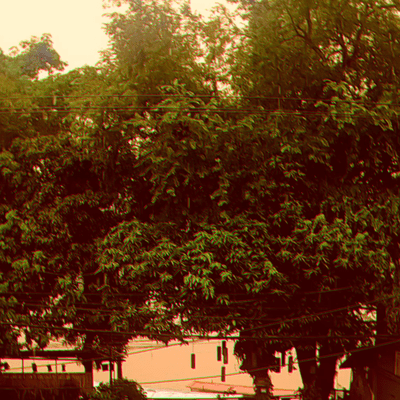 Rain from Nostalgia