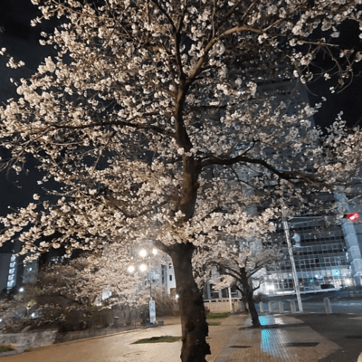 NightBounceFreeStyleBeat