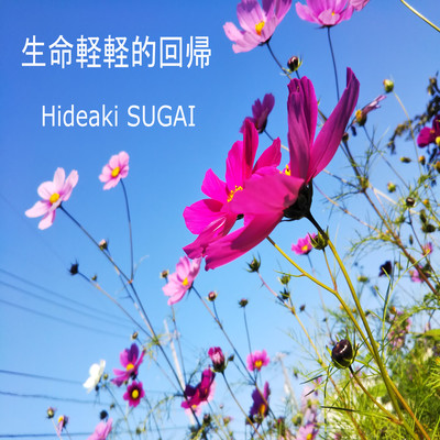 Shen Min Qing Qing de Huai Qu