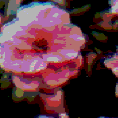 Camellia Waltz