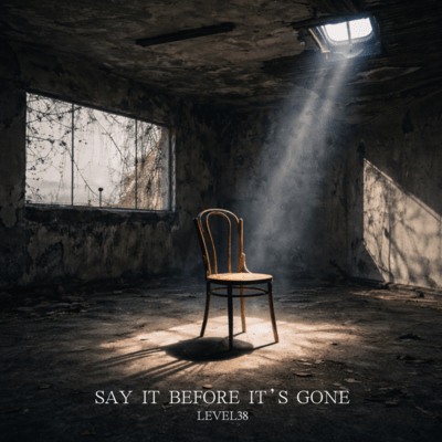 SAY IT BEFORE IT'S GONE