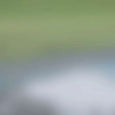The Unspoken Layer