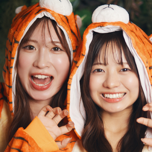 AnimalZoo