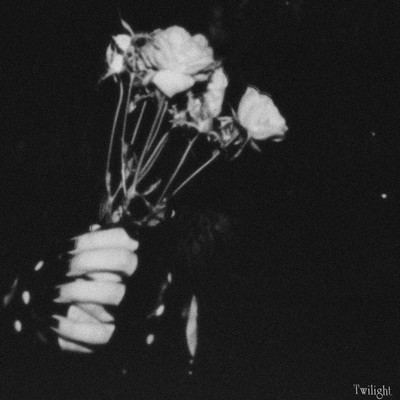Twilight (Radio Edit Ver)