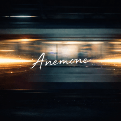 Anemone