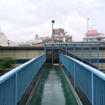 Say hello to a family venereology